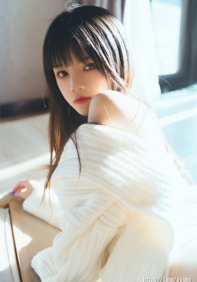 同盟粤语_DVD在线播放观看
